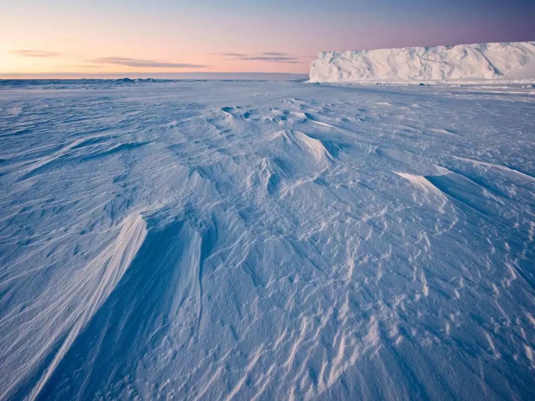 【探索第七大洲】南极半岛10晚11天经典旅程_八大洲旅游